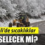 1445.jpg