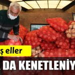 1708.jpg