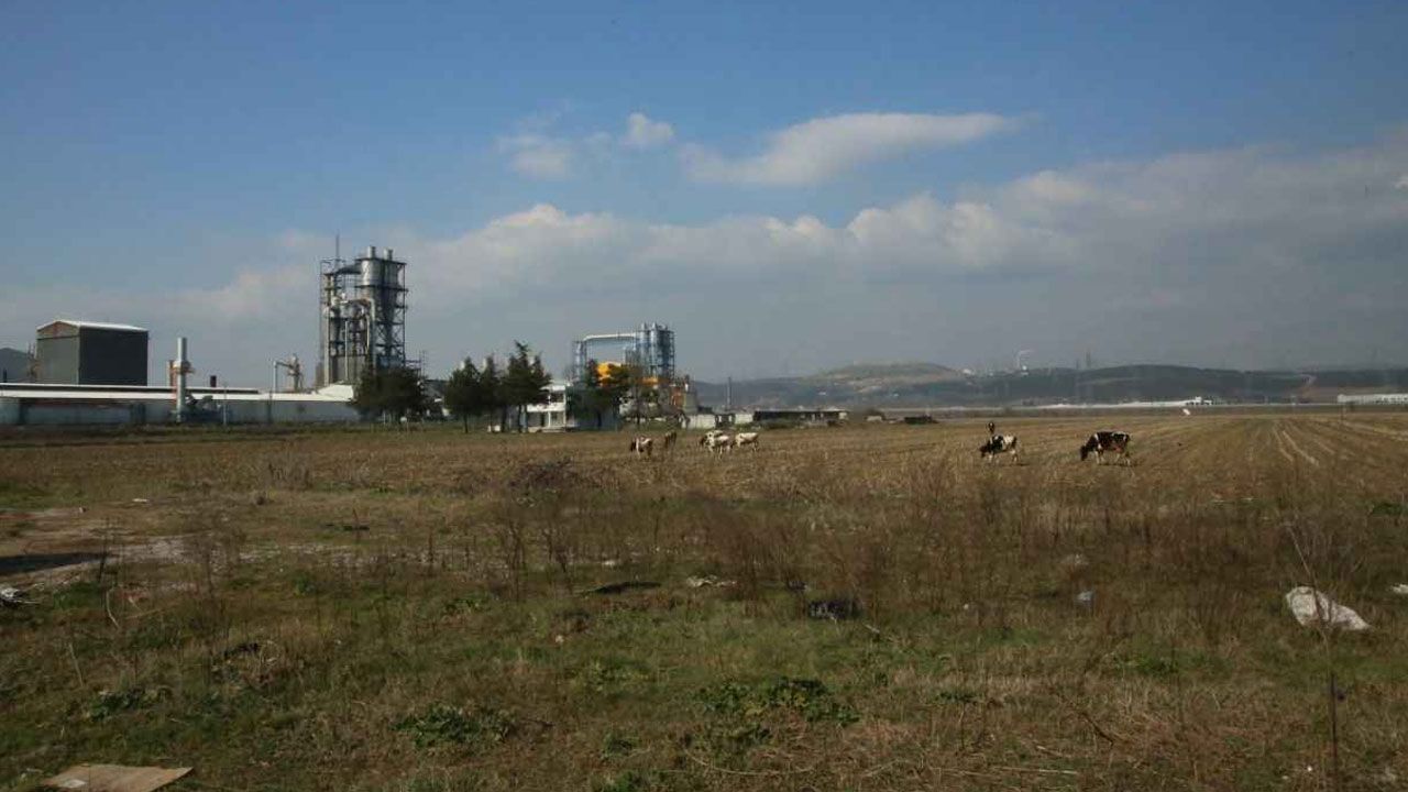 Yıldız Demir Çelik'in Kartepe'ye yapmayı planladığı fabrika ile bölgede trafik yükü artacak ekolojik denge tehlikeye girecek 