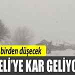 4534.jpg