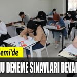 5201.jpg