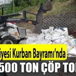 6000.jpg
