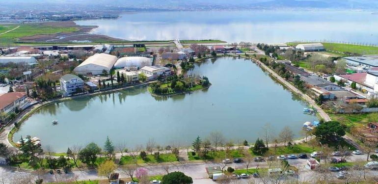 6c7dbd89-a49b-4e36-bb87-d1c23315056b-1-1528796138