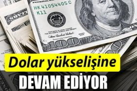 DOLAR