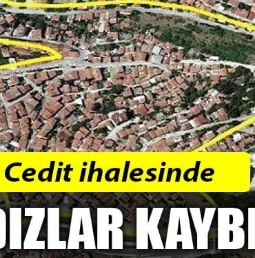HALDIZ