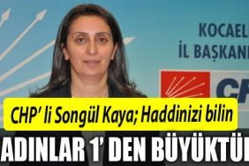 chp kadın kolları başkanı