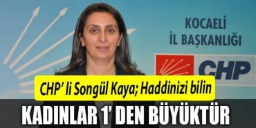 chp kadın kolları başkanı