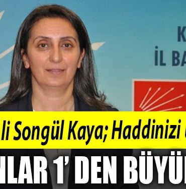chp kadın kolları başkanı