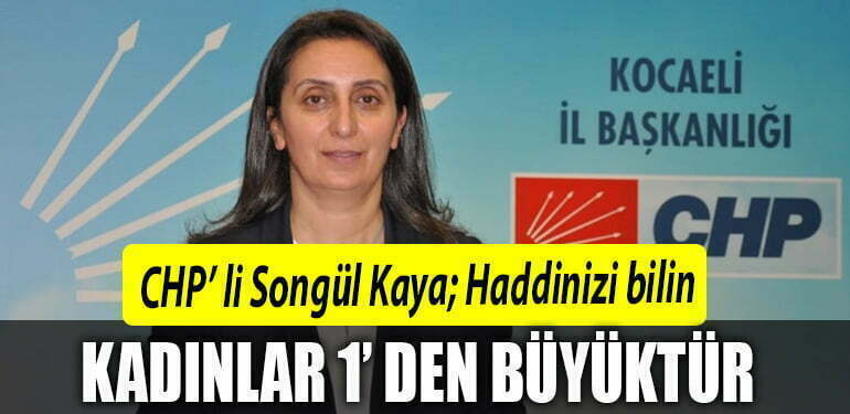 chp kadın kolları başkanı