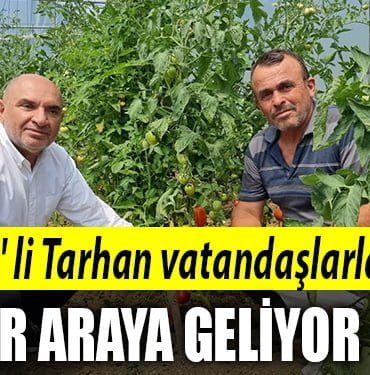 TAHSİN-TARHAN