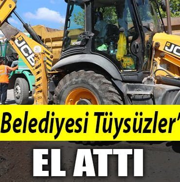 İzmit tüysüzler