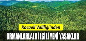 YENİİ