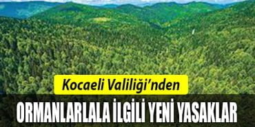 YENİİ