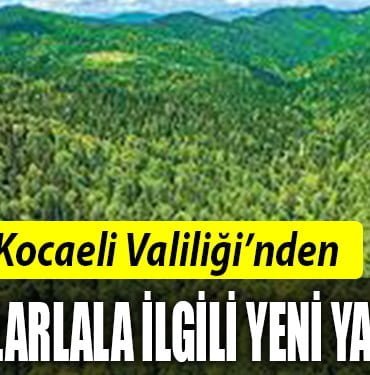 YENİİ