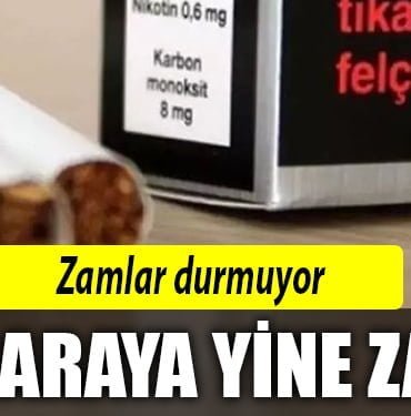 ZAMMM