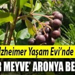 alzheimer-yaşame-evi-izmit