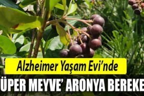 alzheimer-yaşame-evi-izmit