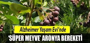 alzheimer-yaşame-evi-izmit