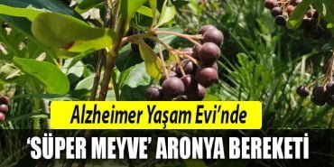 alzheimer-yaşame-evi-izmit