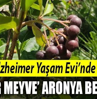 alzheimer-yaşame-evi-izmit