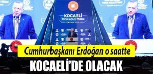 erdoğan-kocaeli