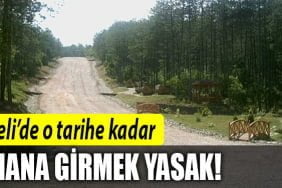 kocaeli-ormana-giriş-yasağı