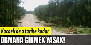 kocaeli-ormana-giriş-yasağı