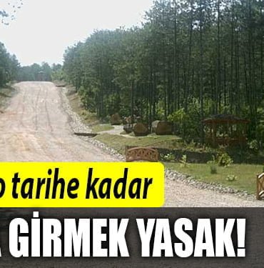 kocaeli-ormana-giriş-yasağı