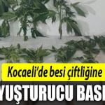 kocaeli-uyuşturucu-baskını