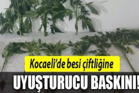 kocaeli-uyuşturucu-baskını