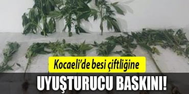 kocaeli-uyuşturucu-baskını