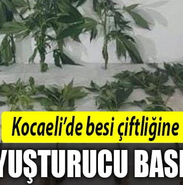 kocaeli-uyuşturucu-baskını