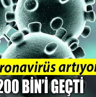 koronavirüs