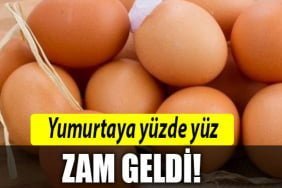 yumurta-zam-geldi