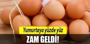 yumurta-zam-geldi