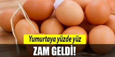 yumurta-zam-geldi