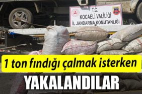 1 TON FINDIK