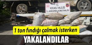 1 TON FINDIK