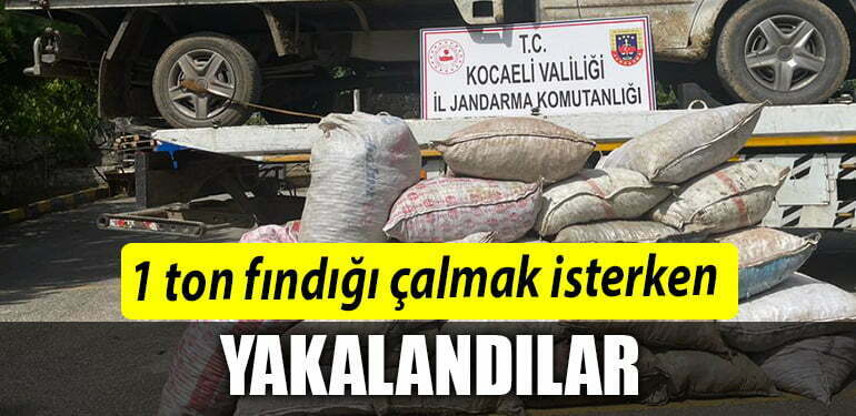 1 TON FINDIK