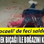 BOGAZINI KESTI