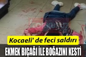 BOGAZINI KESTI
