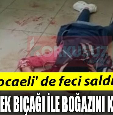 BOGAZINI KESTI