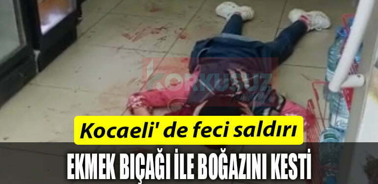 BOGAZINI KESTI