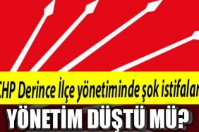 CHP DERİNCE