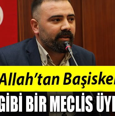 devrim bal