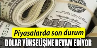 DOLAR