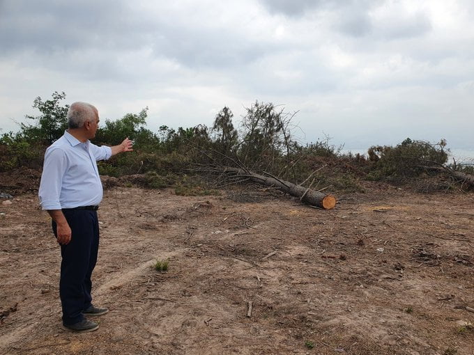 Ağaçların kesildiği alana giden HDP Kocaeli milletvekili Ömer Faruk Gergerlioğlu çekim yaptığı esnada ağaç kesimi devam ediyordu. 