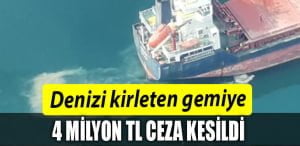 GEMI