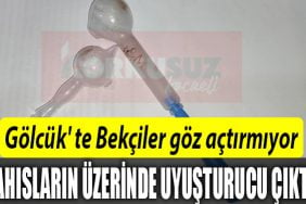 GOLCUK BEKCI