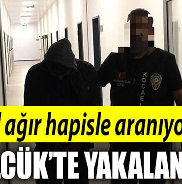 HAPIS